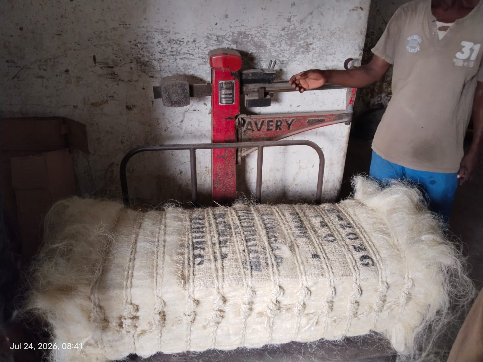 Sisal & Fibres — frame 2