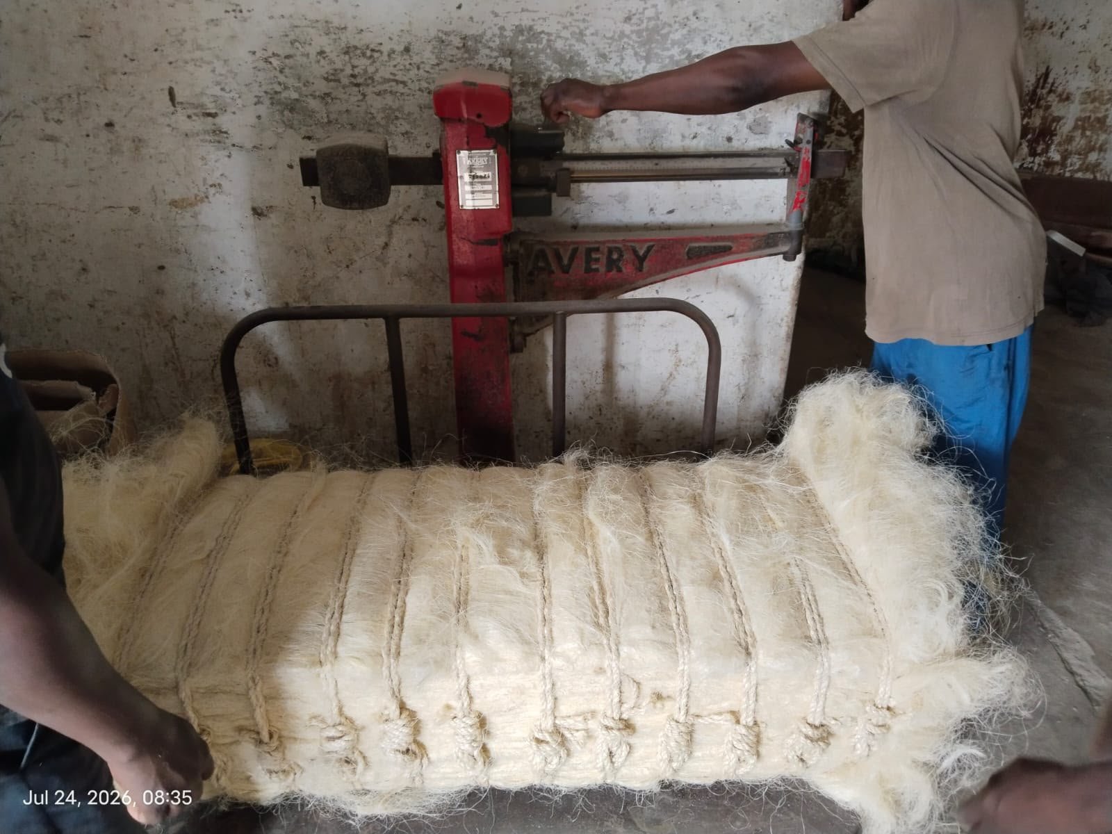 Sisal & Fibres — featured frame