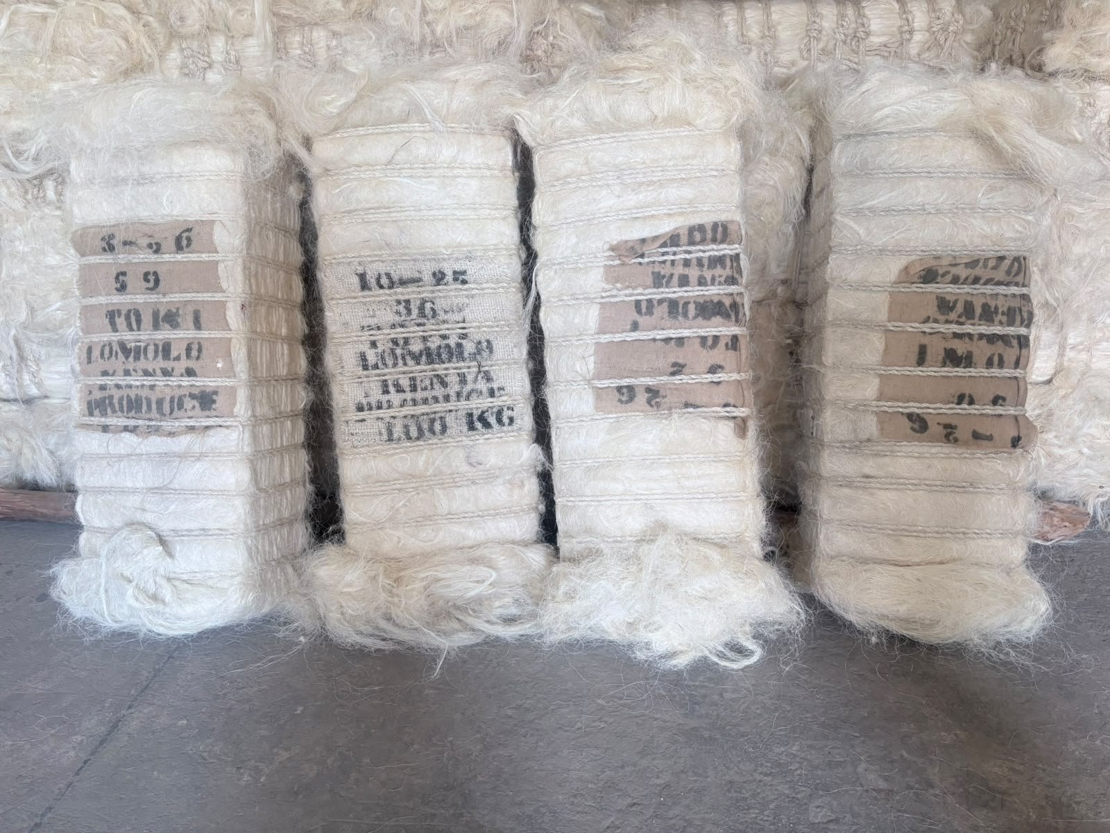 Sisal & Fibres — frame 5