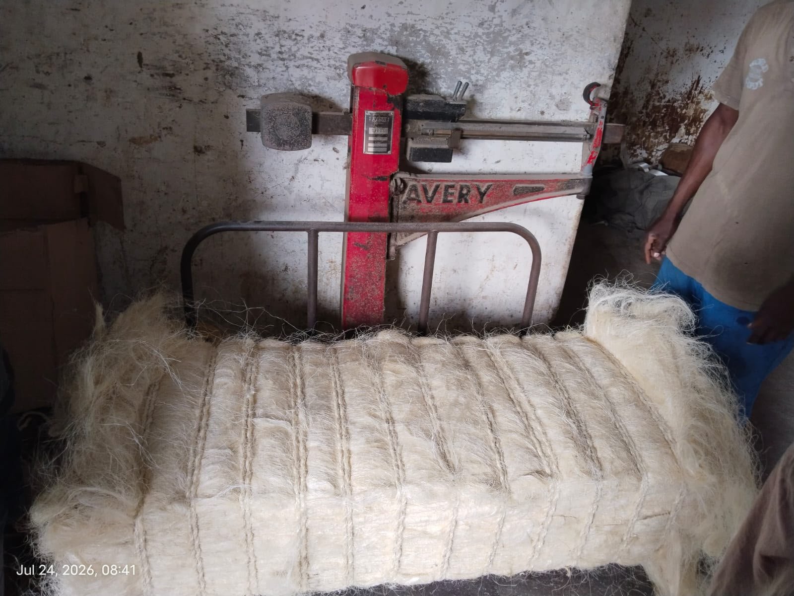 Sisal & Fibres — frame 4